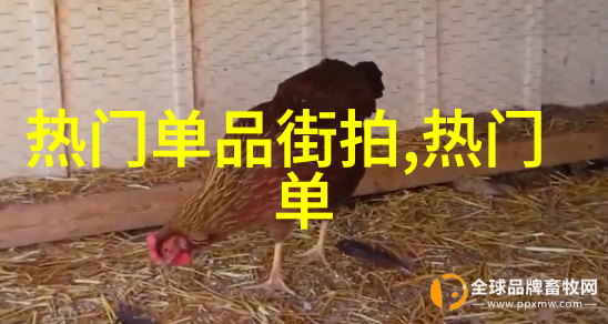 主题我是如何在海外永久生活中找到免费的华人服务的小故事