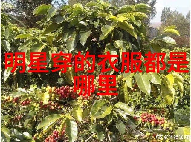 赊店经营者的艰辛之路成功策略分享