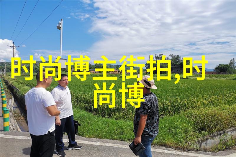 探索完美容颜脸型与发型的完美对话