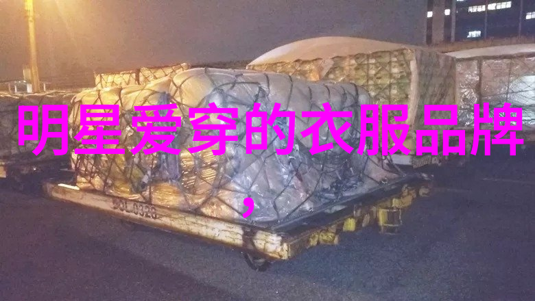 追踪时光记忆的数字足迹