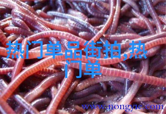 姜可全文阅读-沉浸在故事海洋探索姜可全文阅读的魅力