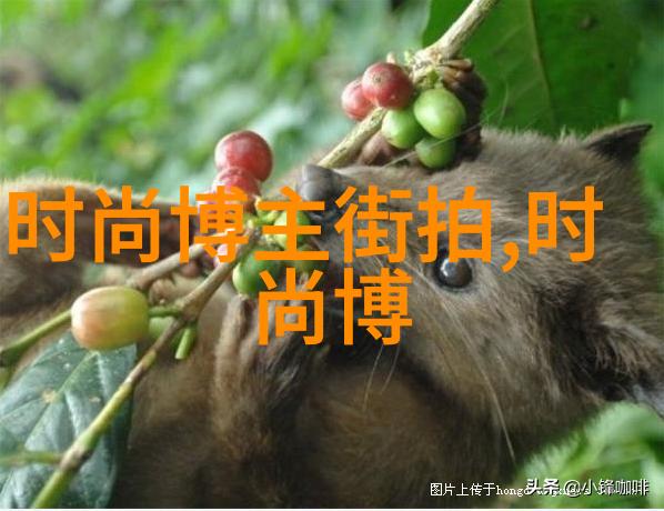 493数字的魅力与意义