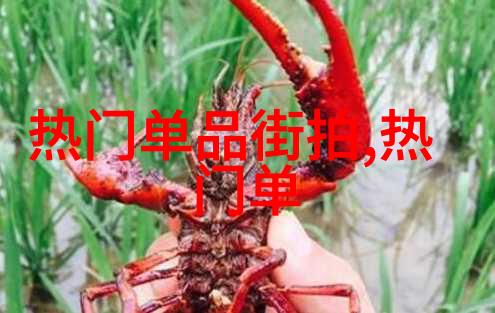 尘中仙简介探索隐世之美与人间苦难的故事