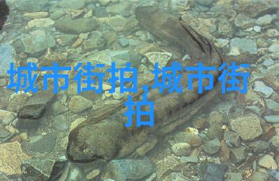 迈开腿让学长看看你走出舒适圈让他眼前一亮