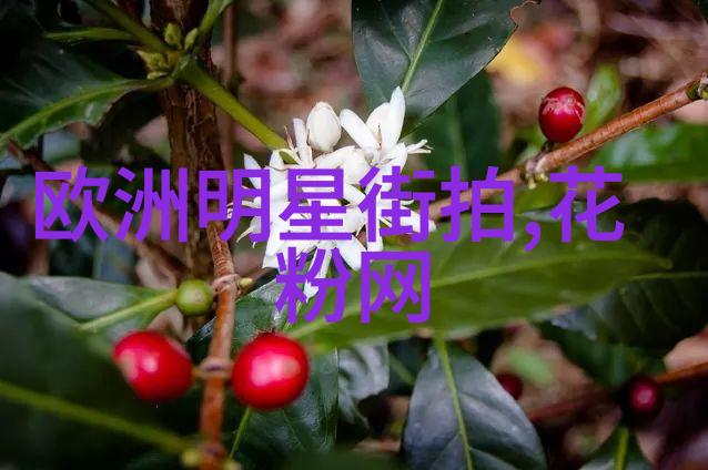 为何七分裤成为了夏季必备的服饰
