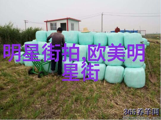 360手机助手我是你的智能小伙伴随时陪你解锁手机乐趣