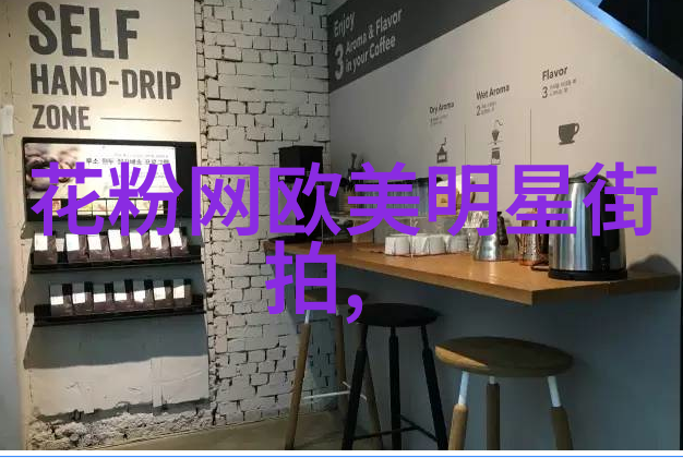 杨洪刚理发初级教程全集解锁您的创造力与技艺