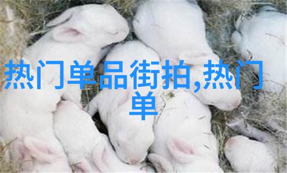 极上的恋人我和他之间的那份超越语言的爱