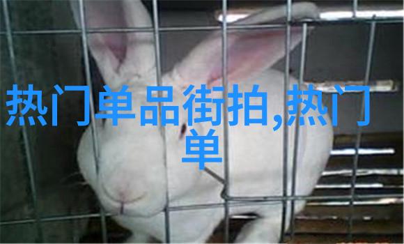 时尚搭配助手男士衣橱的智能化革新
