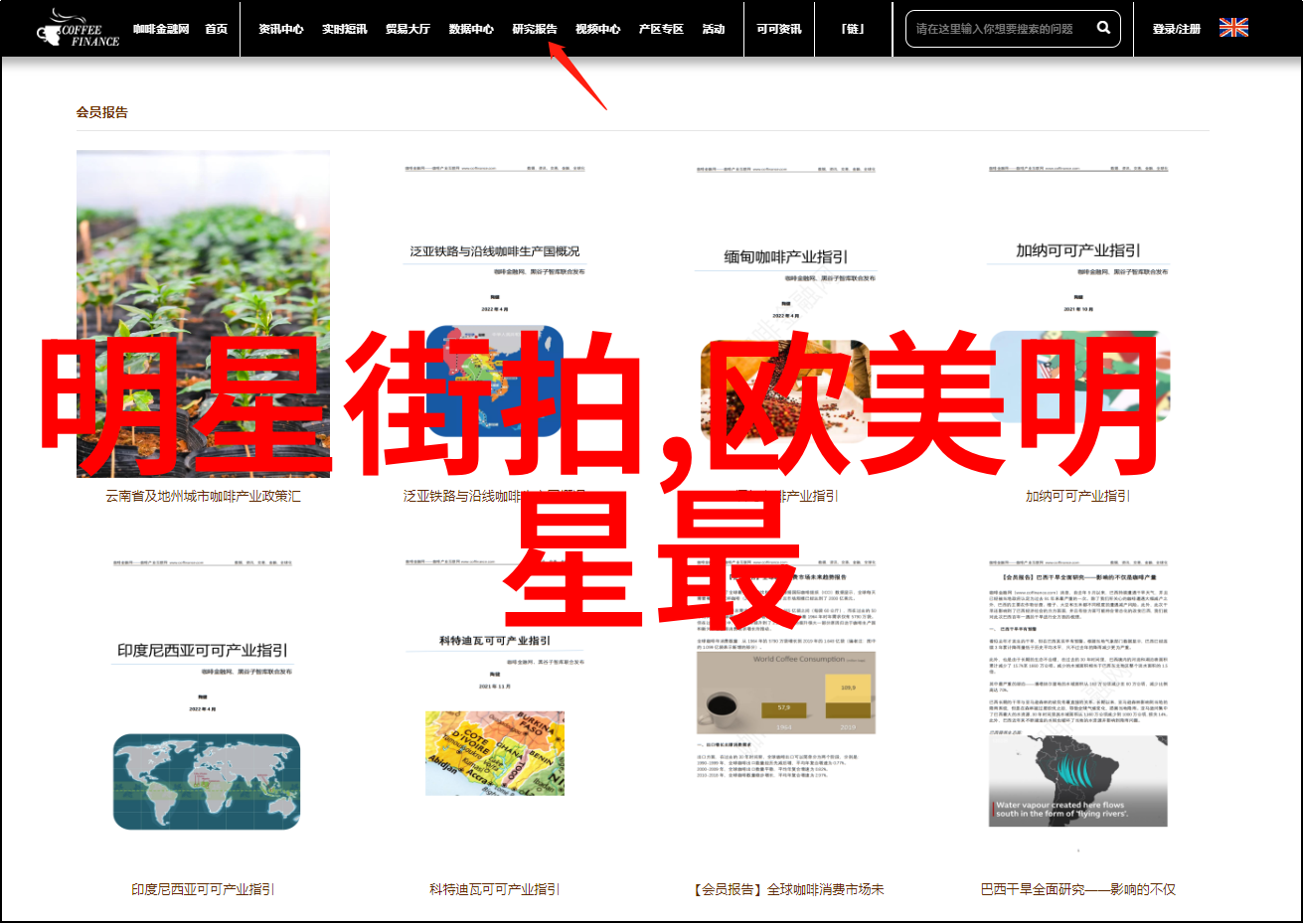 300013新宁物流-追踪300013新宁物流中国物流行业的创新者与领导者
