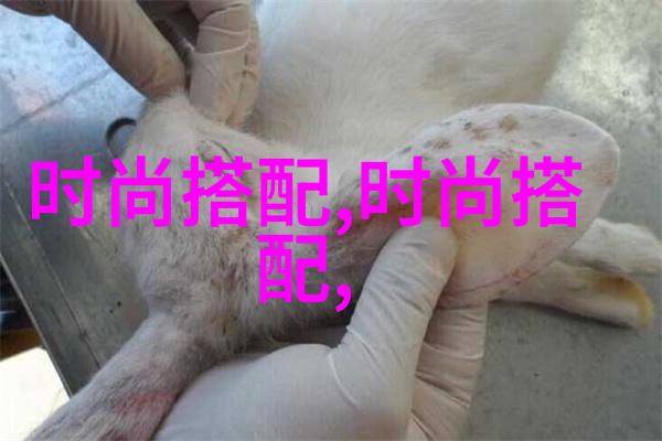 美丽天堂杭州摇号背后的神奇数字