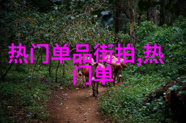 逆袭时尚男性的简短发型之美