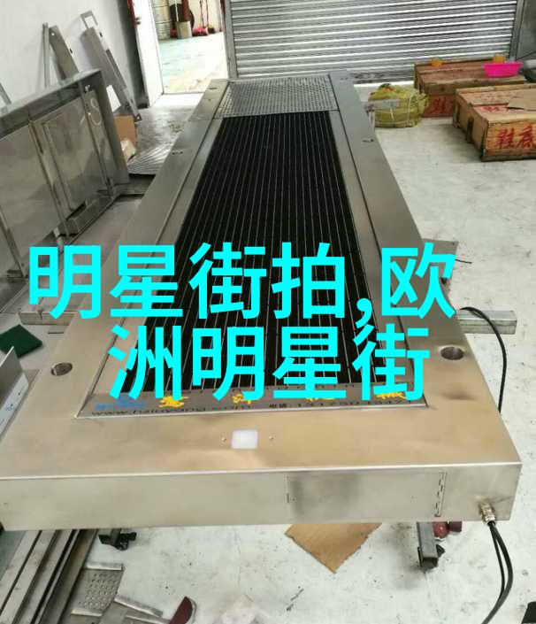 毛利式