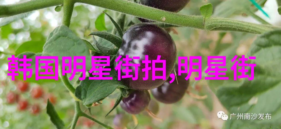 简单气质编发教程-轻松拥抱自然风简单气质编发技巧详解