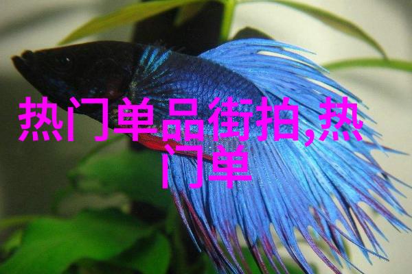 xxhd时代影音体验再升级