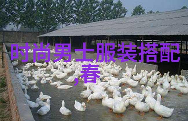 长发不再乱编发让你笑傲江湖