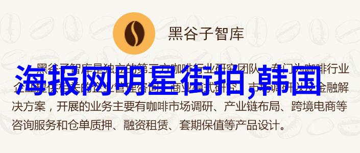 夜幕下的追踪者男士风衣背后的秘密