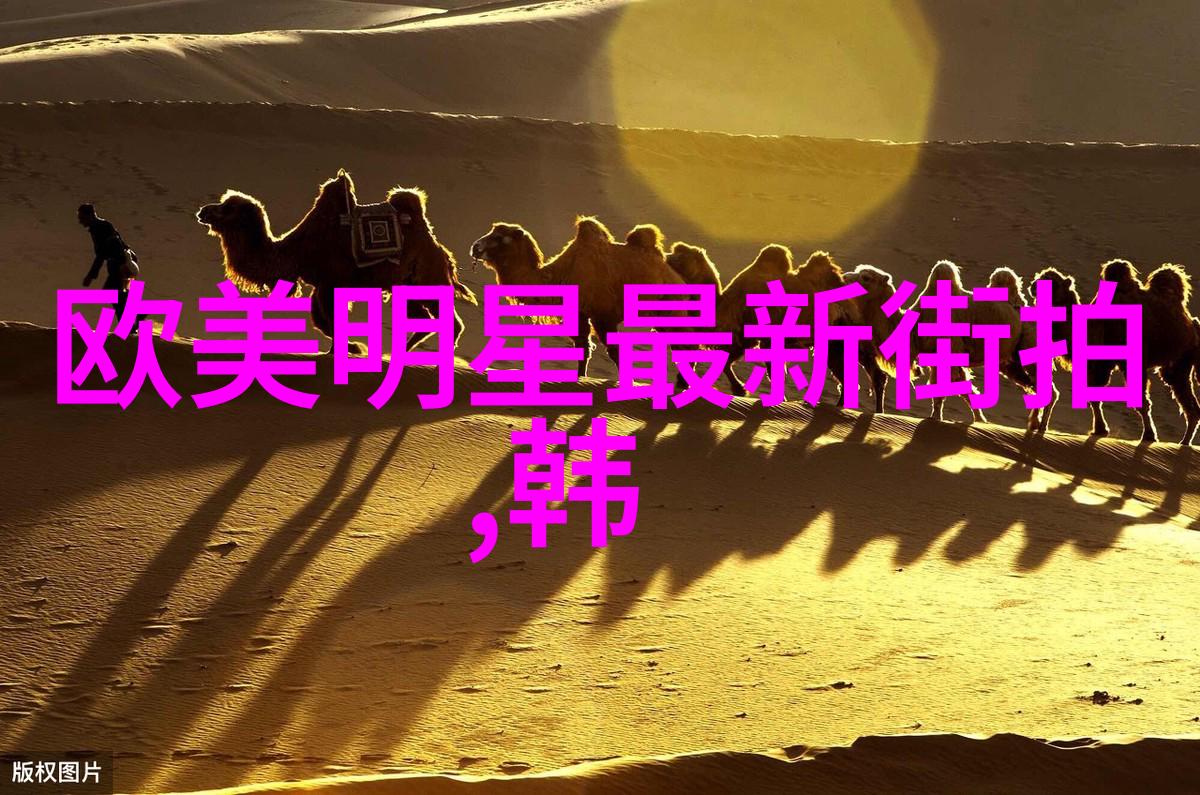 沉沦之旅无尽阅读的秘密世界