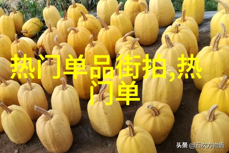 牵牵摸摸贴贴抱抱蹭蹭亲亲外国-跨文化宠物之旅深情的触碰与温暖的拥抱