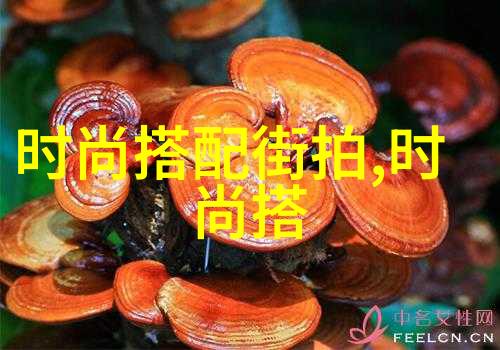 时尚美发-2022最新女士发型大赏秀发造型的艺术变革