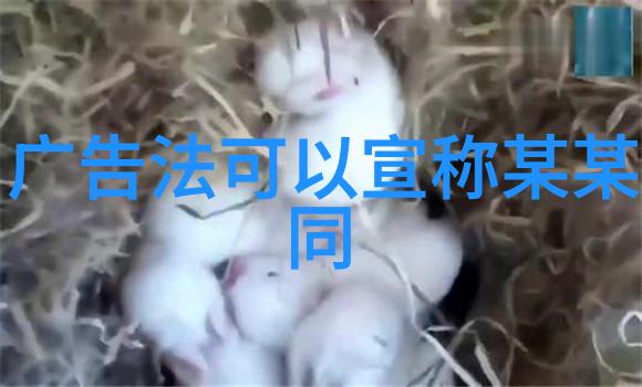 RBD粉丝热情的RBD爱好者