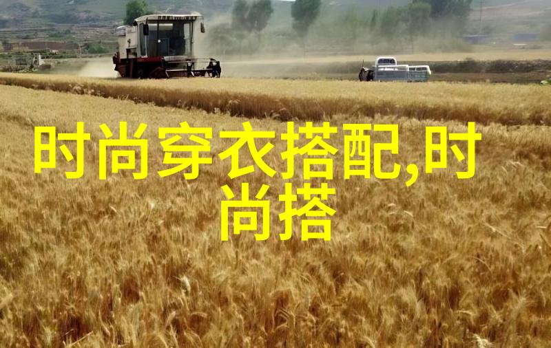母亲对儿子的补偿游戏安装 - 温暖的补偿母亲亲手引导儿子探索数字世界