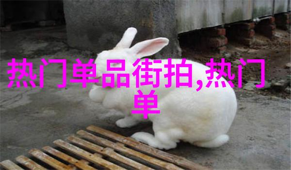 补课进行时3ph青梅竹马2-重温童年青梅竹马的补习奇遇