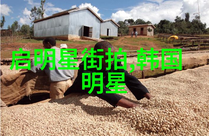 时尚生活-中年女性短发时尚指南精选图片与风格解析