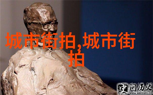 首辅大人1V2权力之争
