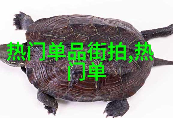 中秋节高速公路免费通行2021年中秋节高速免费政策解析