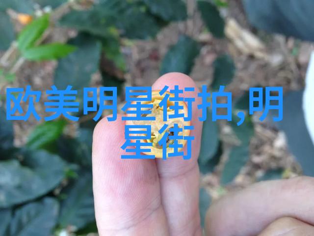 探索艺术家Jocelyn Flores的独特视觉语言与情感表达