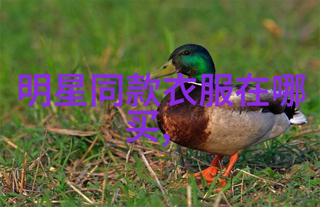 编发化妆培训班的课程设置有哪些特色
