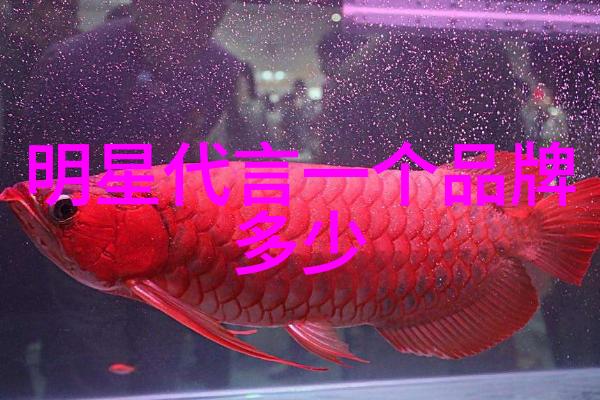 美发师技术培训我来教你如何做出完美的发型