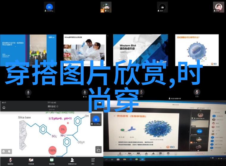 最后一百天BY卖菜 小说百度云-逆袭之最后一百天从街头小贩到商界巨擘的奇迹