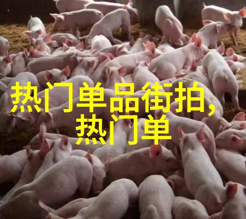 双十一序幕开启秀雅韩诚意感动时尚界