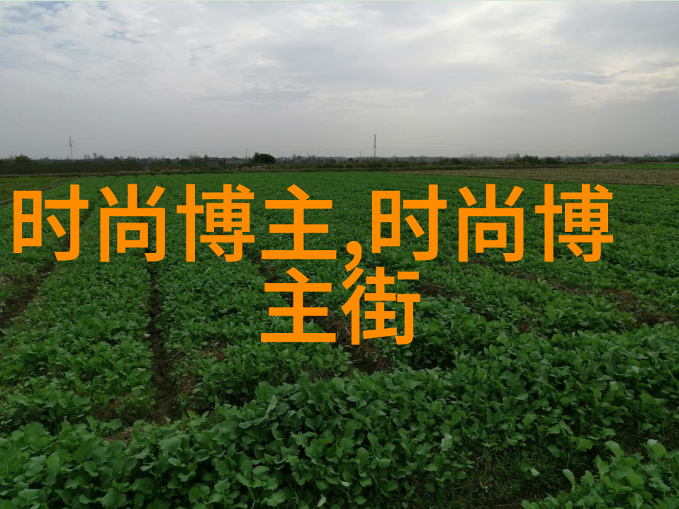 朱丽二嫂明星打造完美风格皮衣裙装搭配腿部线条太惊艳网友惊叹其身材佳