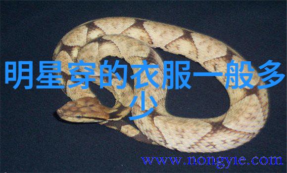 (来凤地区未来七天气象预报