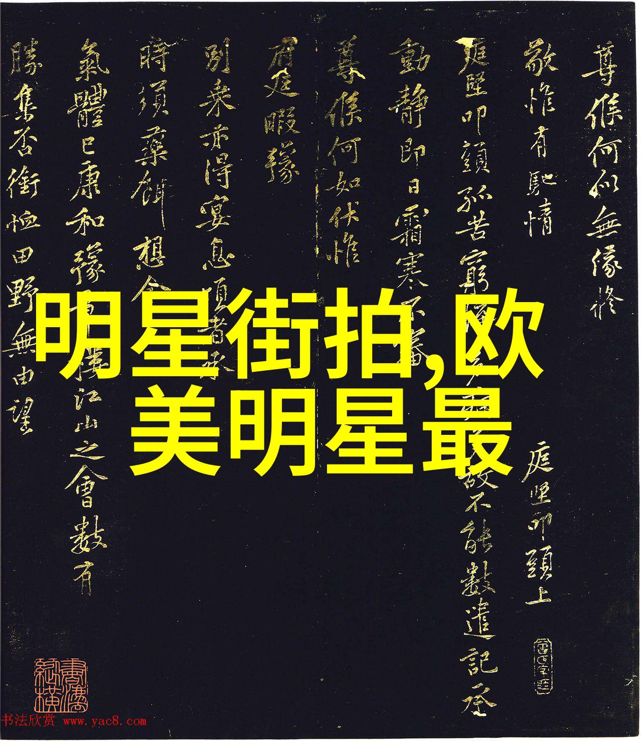 安克宝贝安克的可爱宠物