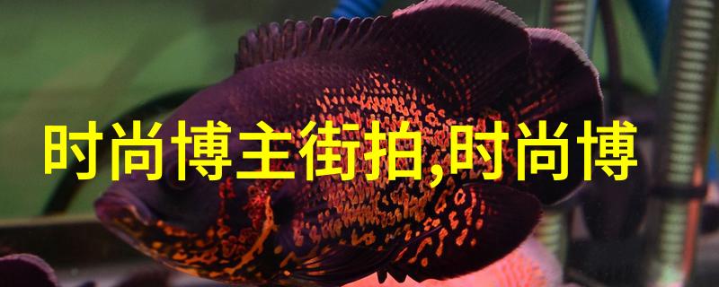 9传媒制片厂免费体验探索电影制作的艺术与魅力