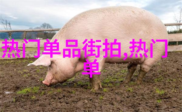时尚潮流最新年终总结揭秘今年最热门的烫发风格2023年最流行的烫发趋势