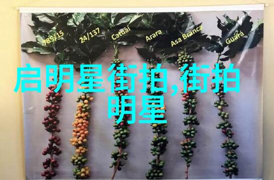 广州理发艺术学院学艺之选