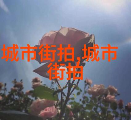 361音乐节回忆点亮的360度旋律