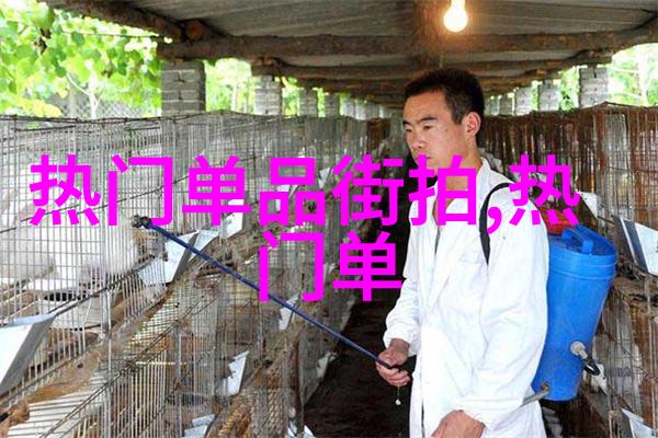 绽放的爱父女情深的诗篇
