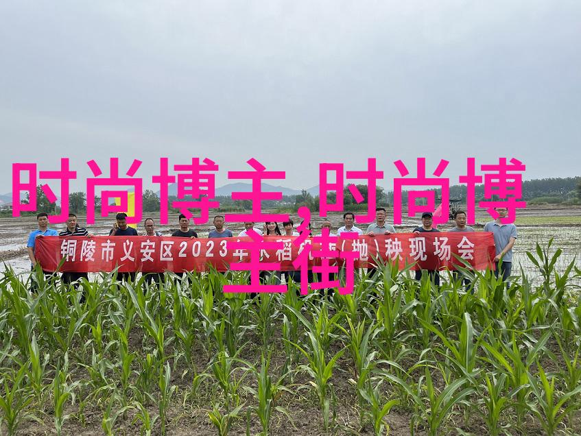 春夏之交我该选择什么颜色和款式的v领针织衫