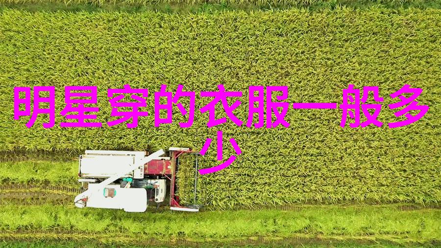 在中国历史上板栗扮演了怎样的角色
