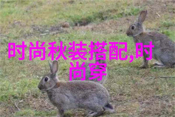 FRXXEE中国护士守护健康的天使