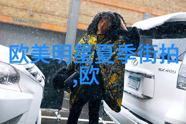 东北大坑乱H全集目录东北大坑的混乱与激情