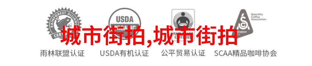 古风遗韵与现代口味的碰撞探索封建糟粕BY花卷的独特魅力