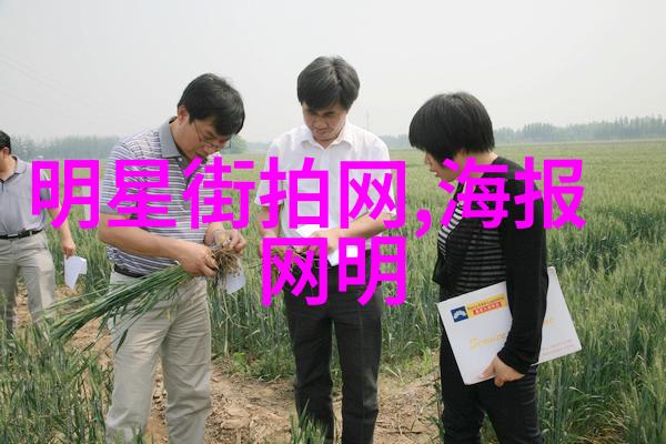 洛克人网络保卫战-探索虚拟世界的冒险之旅
