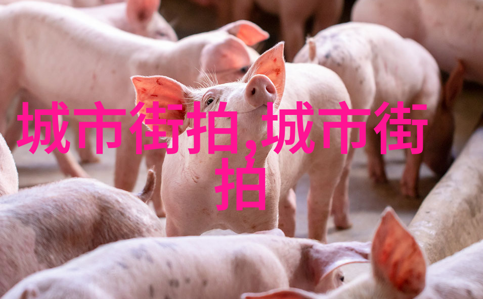 长城皮卡守护家庭旅行的伙伴